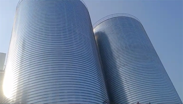 葫芦岛2座混凝土高架卷板仓